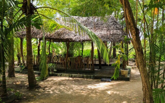 Coconut Park