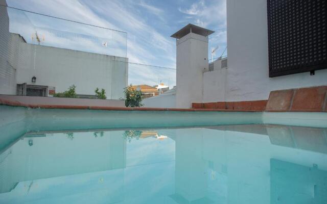 Casas de Sevilla - Casa Sevillana Harinas26