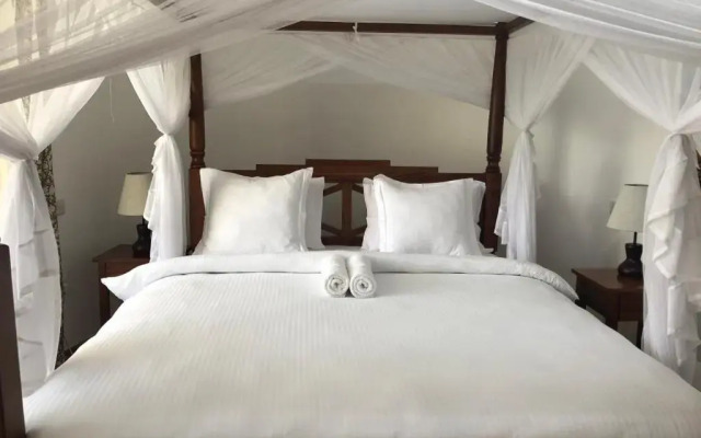 Bird of Paradise Lodge