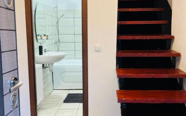 Apartament in regim hotelier King Medias