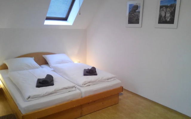 Mansion in Starkov Near Acitvities