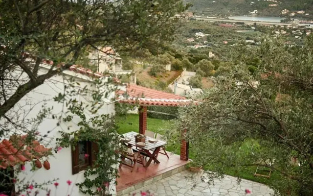 Villa Eleven