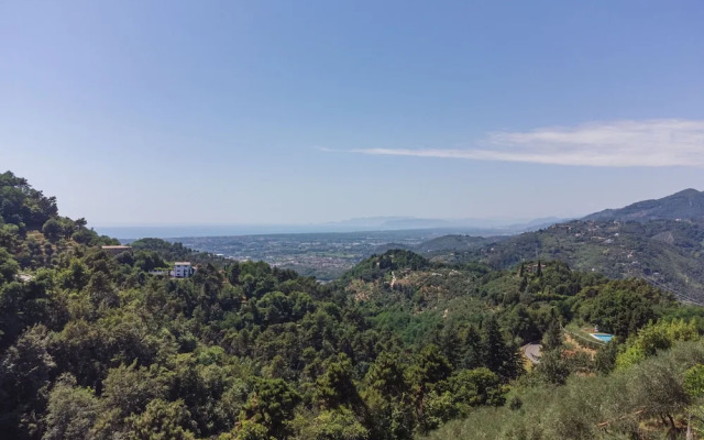 Il Mandarino Pedona in Pedona