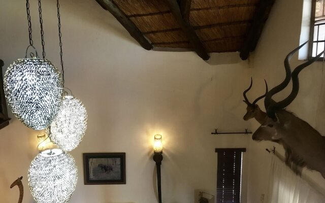 Rhinos Rest