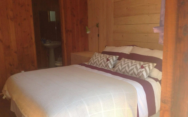 The Princesa Insolente Hostel - Pucon