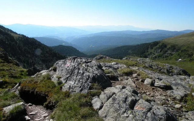 Urlaub im Zirbenland