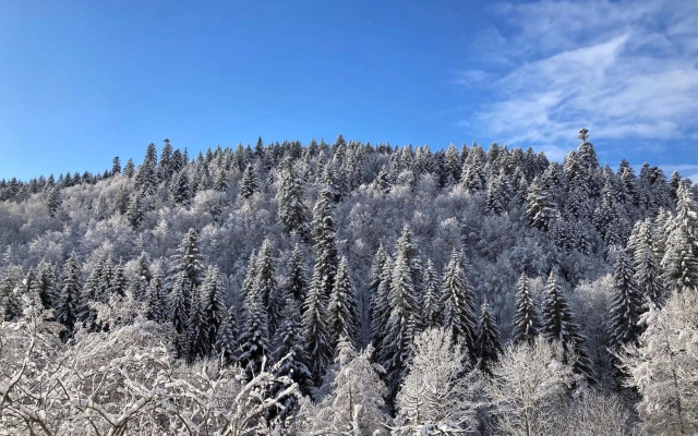 Ferienwohnung Tannenhöh