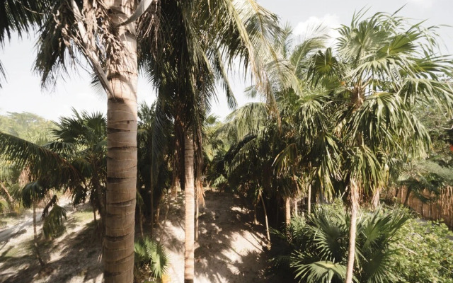 Astra Tulum
