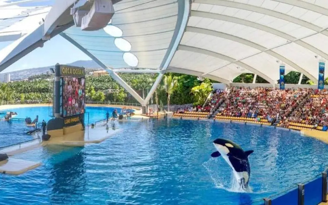 Beatifull Apartament Sea View in pto Cruz