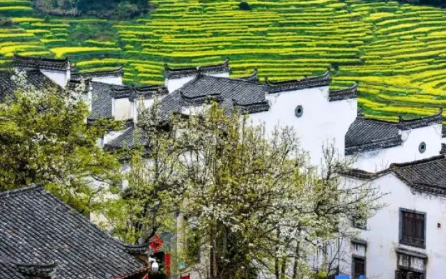 Yishan Jumeisu, Wuyuan, Wuling – Outside – Shangrao