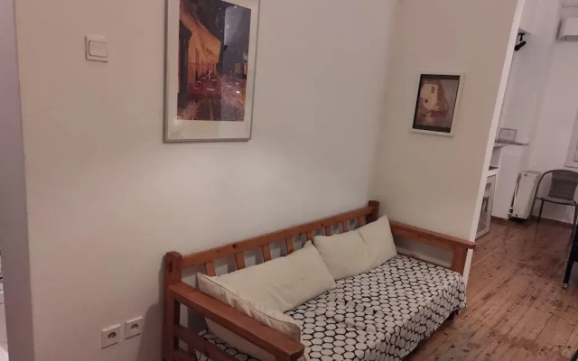 Large Studio/family Apartment