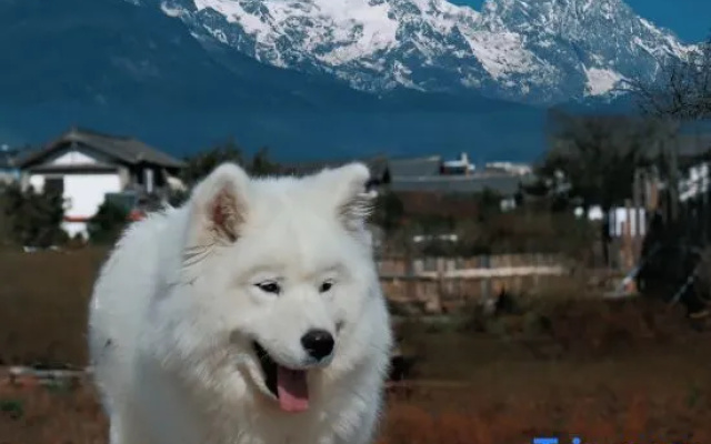 HOMESTAYPeshaguzhendian) – Outside – Lijiang