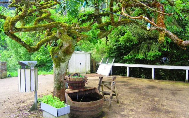 Group Getaway With Sauna