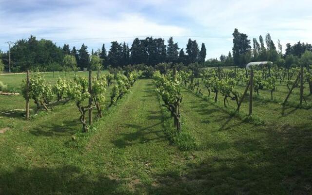 Safranière des Sorgues