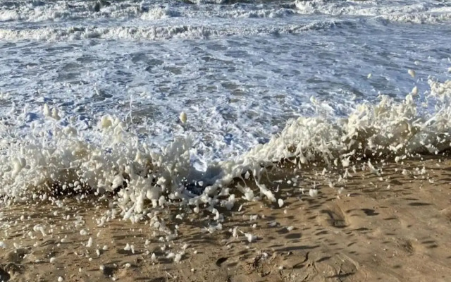 Beautiful Apartment in a top Location Near Beach