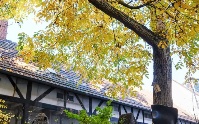 RheinRiver Guesthouse - Direkt am Rhein