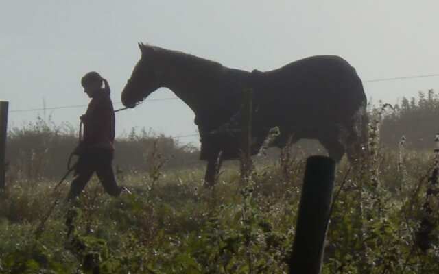 Polean Farm Cottages