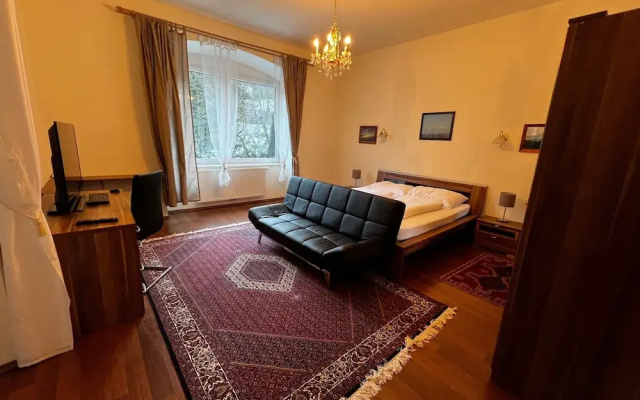 Villa Wellspacher - Renovated 19th Century Villa