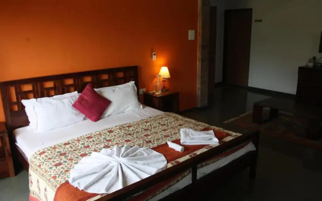 The Ark Wellness Retreat