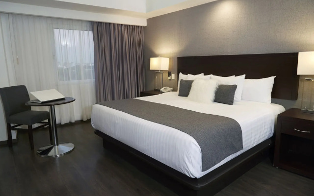 Ejecutivo Express Guadalajara Providencia - Av México