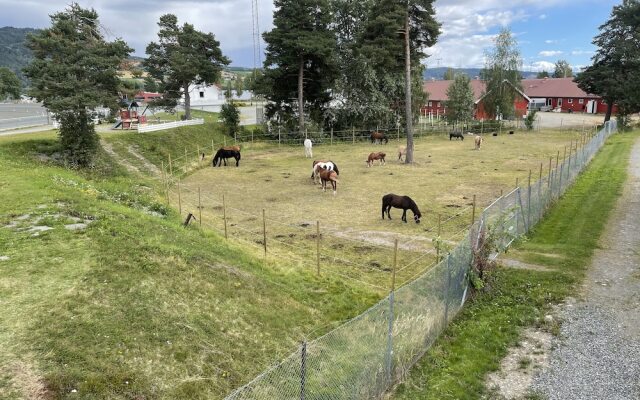 Biri Arena Overnatting