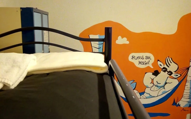 The Bouncing Lamb Backpackers