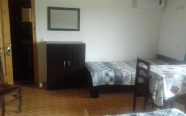 Guest House on Rustaveli 347D