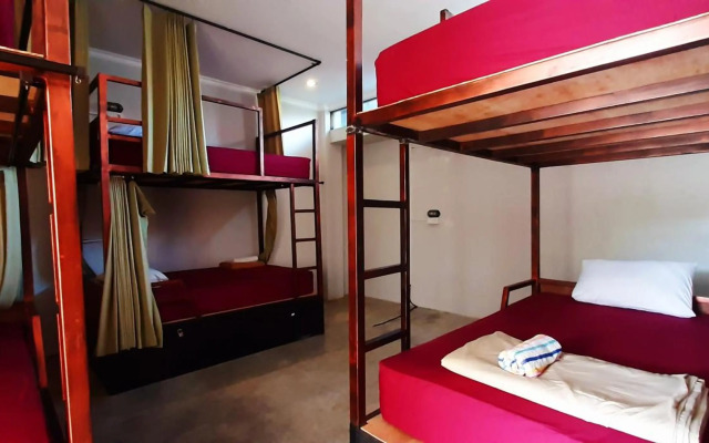 Urban Jungle House Bali