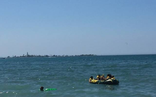 The Shores