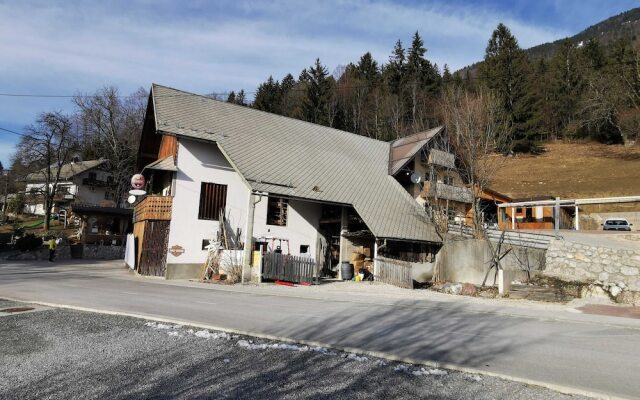 Slovenian Traditional Guesthouse