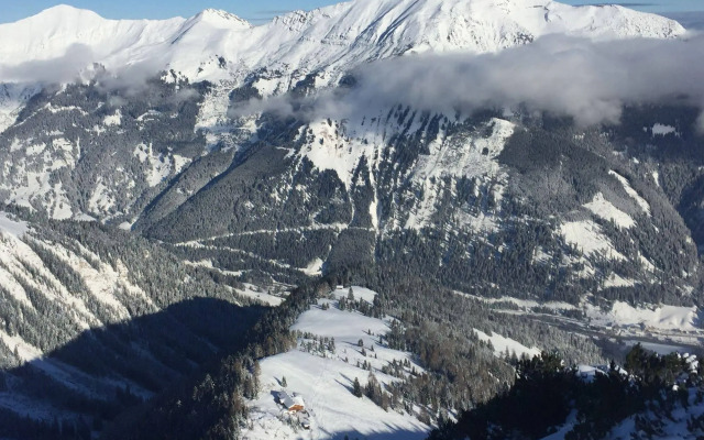 Alpenstern Lermoos