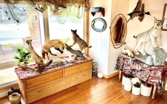 Forest Lake Motel