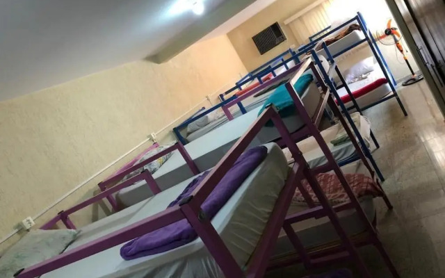 Zen Garden Hostel