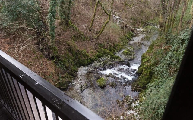 River Falls View
