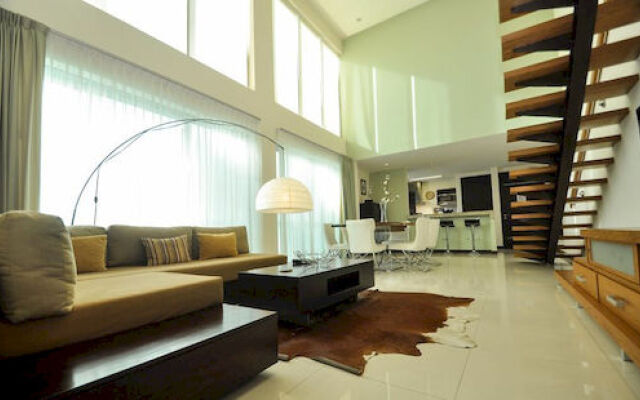 Oasis 202 By Vimex