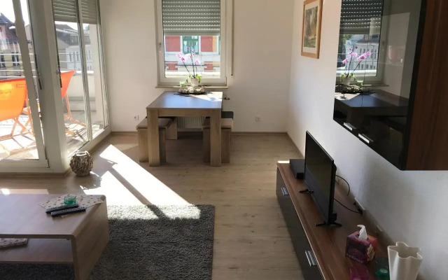 Exklusive Wohnung mit Dachterrasse in Schleußig