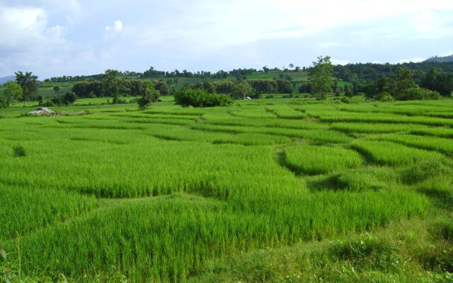 Bannumhoo Homestay Resort & Camping