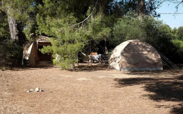 Saint Paul Le Marseillais