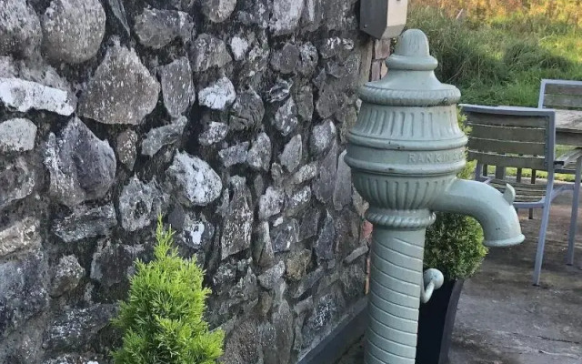 Flynns of Termonfeckin