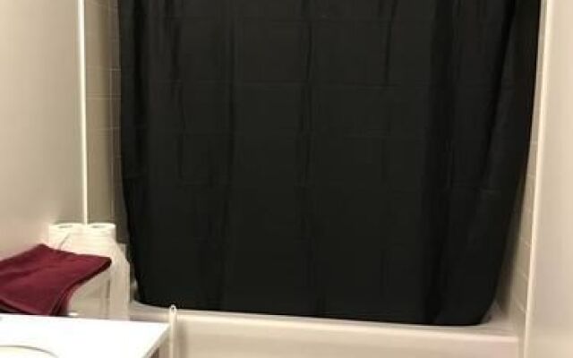 Queen West Condo