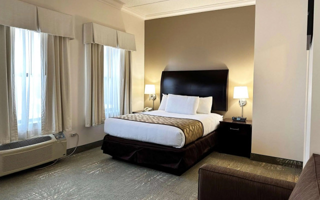 Chicago South Loop Hotel