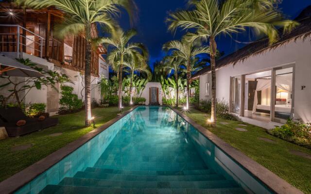 Villa Palm Tree