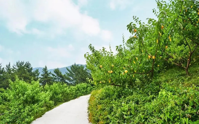 Yeosu Dolsan Healing Pension