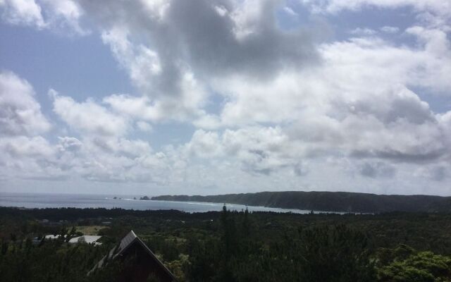 Matayoshi Coffee Farm