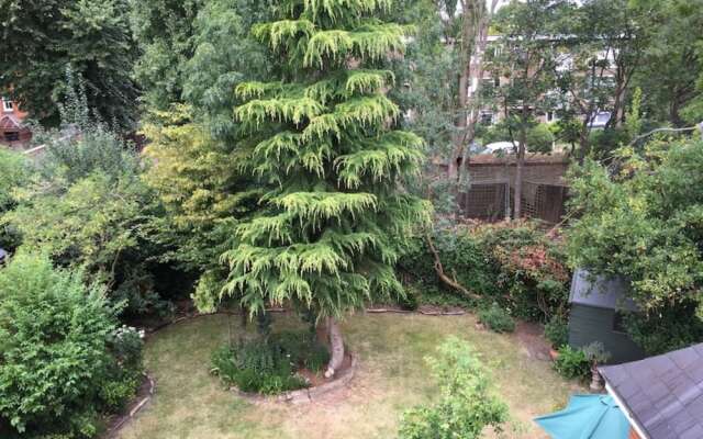 Studio Apartment In Putney