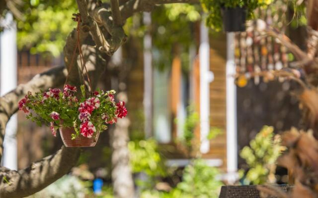 Likya Evleri Olympos - Adults Only