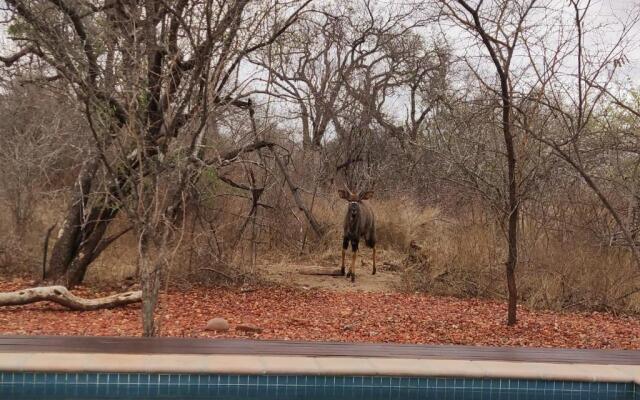 Gem in the bush lodge