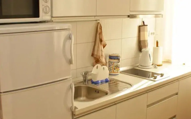 Apartment Old Town Plinarska
