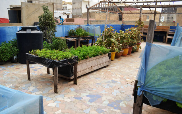ViaVia Senegal Dakar - Hostel/Backpacker