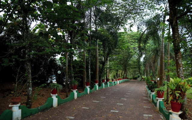 Wayanad Cave N Pillar Resort